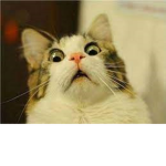 EEEEEEEEEEEE!EEEEEEEEE
