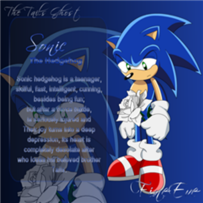 The Tails Ghost Sonic Roblox decal