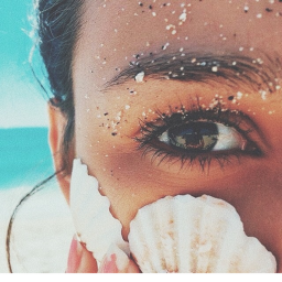 ocean