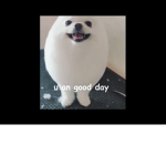 A group with a dog