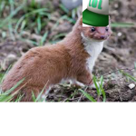 The Laugh Out Weasels