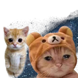 cat universe {beta}