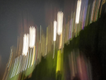 liglit