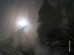 LemonLightM