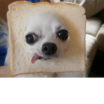 Roblox highschool Bread Raid...ok