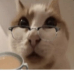 Ish_