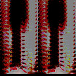 THIS PLACE DOES NOT EXIST