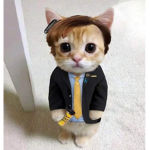 Saul Goodman Commune
