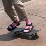 trashskate