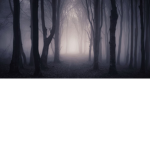 Nightmare's studios!