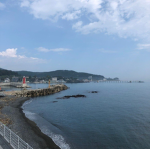 활동즈