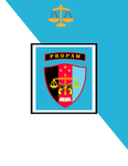 ASIA || PROFESI PENGAMANAN (PROPAM)