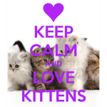 The Kitten Crew!