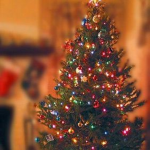 The Christmas girls!<3