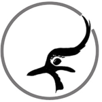 Bird enthusiasts