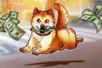 SHIBA INU CULT :D