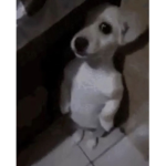 Cupid <33