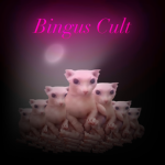 Best Bingus Cult