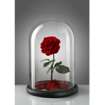 ~ Rose Thorn Fashion ~