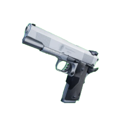 gun
