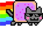 the nyan cats and my hero academia