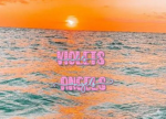 [-violets angels-]