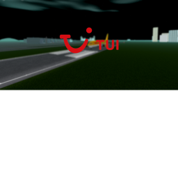 TUIFly airport