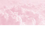 Dasher Uploads Fan Club