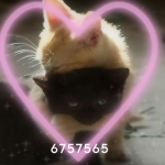 Toxic <3