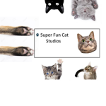 Super Fun Cat Studios