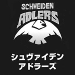 Schweiden Adlers Volleyball Club