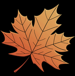AutumnStudio