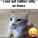 RIDICULOUS TIES >:(
