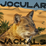 The Jocular Jackals