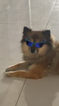 party poople