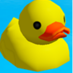 THE DUCKY'S :)