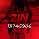 ZIN !!