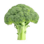 Duck Eating Broccoli
