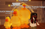 Quackers Unite!