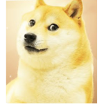 The Dogee empire