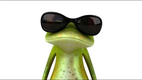 frog