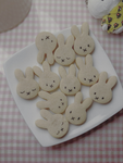 Cookie cookies are the best