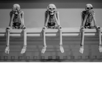 Skeleton Rexies