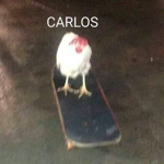 Grupo piroka