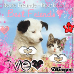 4 ever best friends