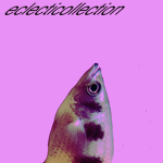 Eclecticollection