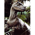 Dinosaurs Fan Group