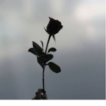 I sEeE you ;)))