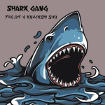Shark Gang - SG