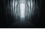 Entity_Studios